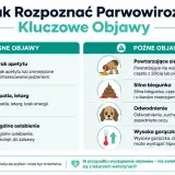 Parwowiroza u psa: objawy wczesne (brak apetytu, apatia) i późne (wymioty, biegunka, odwodnienie, gorączka).