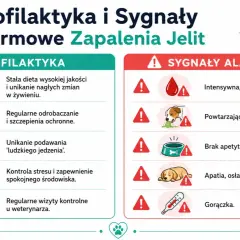 Profilaktyka i sygnały alarmowe zapalenia jelit u psa: biegunka, wymioty, brak apetytu, apatia, gorączka.