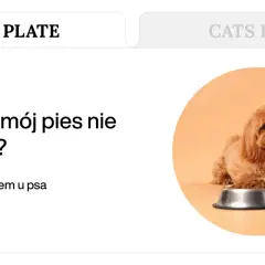 Uroczy piesek obok miski z karmą. Szukasz domowych sposobów na brak apetytu u psa?