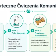 Jak nauczyć psa komend: 4 kroki do skutecznej komunikacji z pupilem: obserwacja, ciche komendy, pozytywne wzmocnienie i konsekwencja.