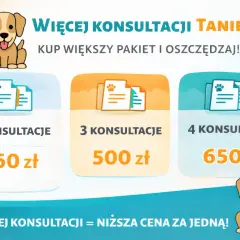 Chcesz wiedzieć, kim jest behawiorysta? Ten obrazek pokazuje pakiety konsultacji dla zwierząt: 2 za 360 zł, 3 za 500 zł, 4 za 650 zł.