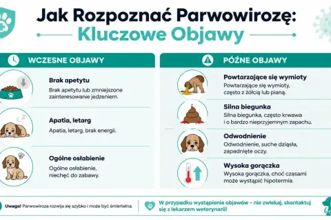 Parwowiroza u psa: objawy wczesne (brak apetytu, apatia) i późne (wymioty, biegunka, odwodnienie, gorączka).