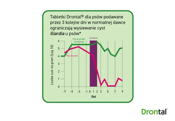 Wykres porównujący liczbę cyst Giardia u psów leczonych i kontrolnych. Leczenie Drontalem znacząco ogranicza wysiew cyst.