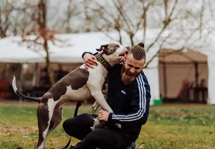 Radosny pies z obrożą "Jordan" przytula się do swojego właściciela. Szukasz inspiracji na imiona dla psa?