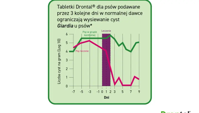 Wykres porównujący liczbę cyst Giardia u psów leczonych i kontrolnych. Leczenie Drontalem znacząco ogranicza wysiew cyst.
