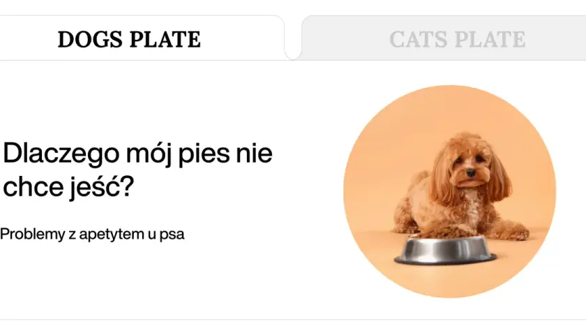 Uroczy piesek obok miski z karmą. Szukasz domowych sposobów na brak apetytu u psa?