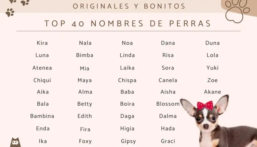 Lista TOP 40 imion dla suczek: Kira, Luna, Atenea, Chiqui, Aika, Bala, Bambina, Enda, Ika, Nala, Bimba, Mia, Maya, Alma, Betty, Edith, Fira, Foxy, Noa, Linda, Laika, Chispa, Baba, Boira, Daga, Higia, Gipsy, Dana, Risa, Sora, Canela, Aisha, Blossom, Dal...