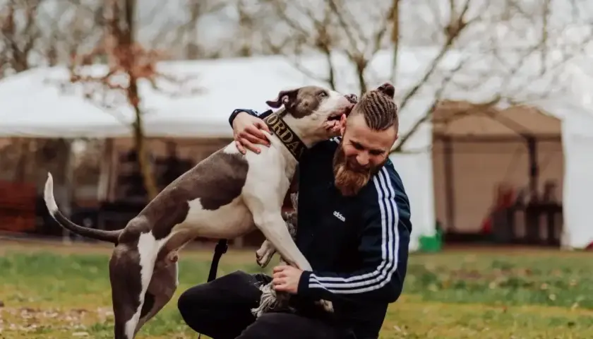 Radosny pies z obrożą "Jordan" przytula się do swojego właściciela. Szukasz inspiracji na imiona dla psa?