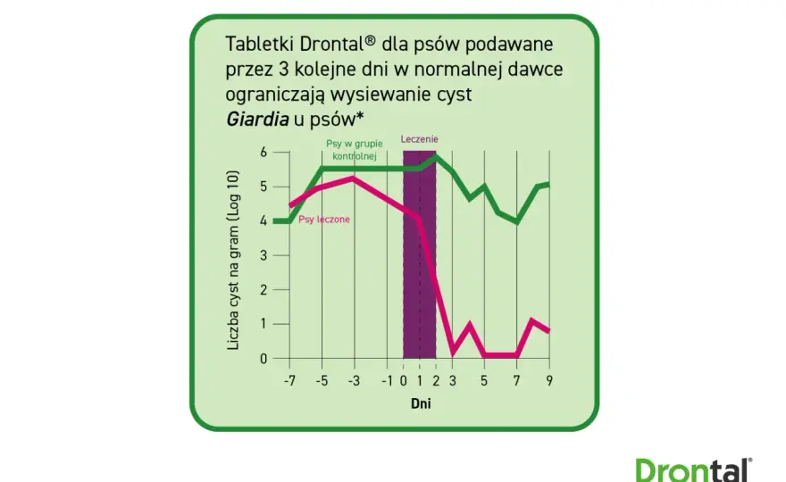 Giardia u psa a człowiek - Kiedy pies zaraża? Poradnik