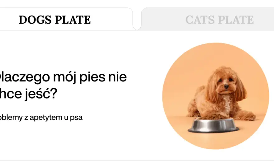 Brak apetytu u psa - Kiedy do weterynarza, a kiedy pomóc w domu?