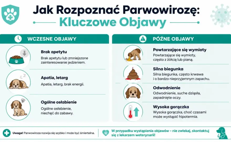 Parwowiroza u psa - objawy, leczenie i ochrona