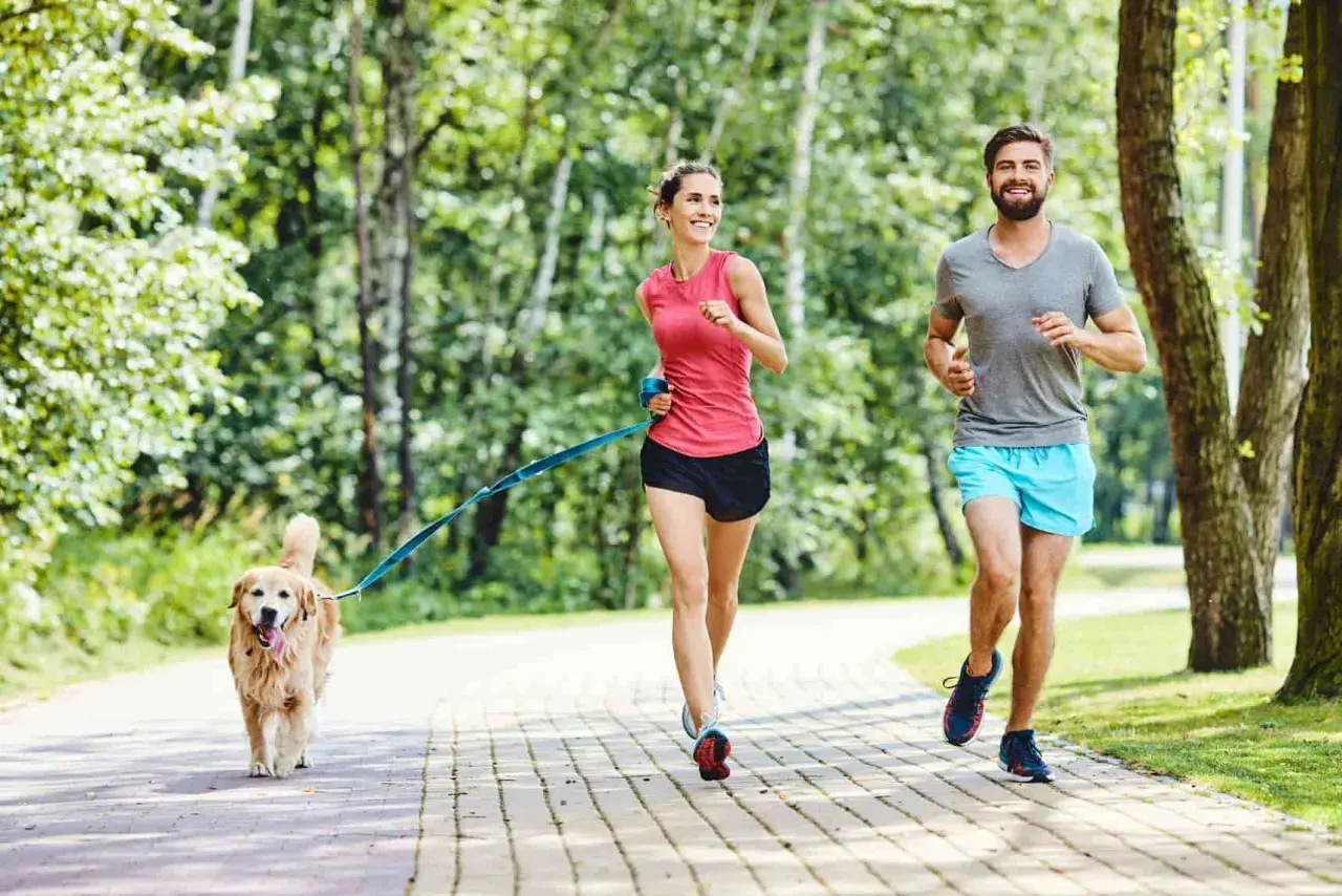 Para biegaczy i ich piesek cieszą się wspólnymi psimi sportami na ścieżce w parku.