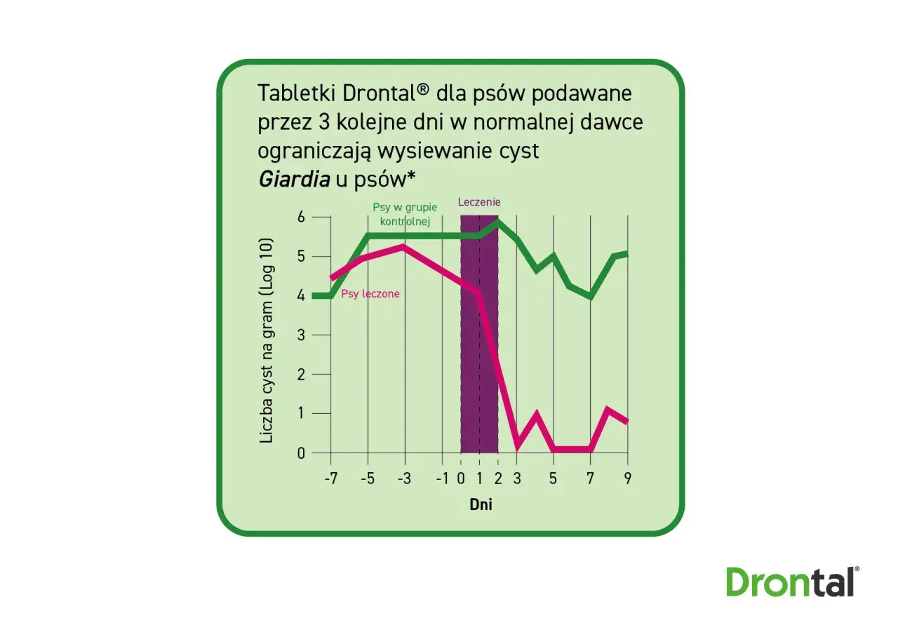 Wykres porównujący liczbę cyst Giardia u psów leczonych i kontrolnych. Leczenie Drontalem znacząco ogranicza wysiew cyst.