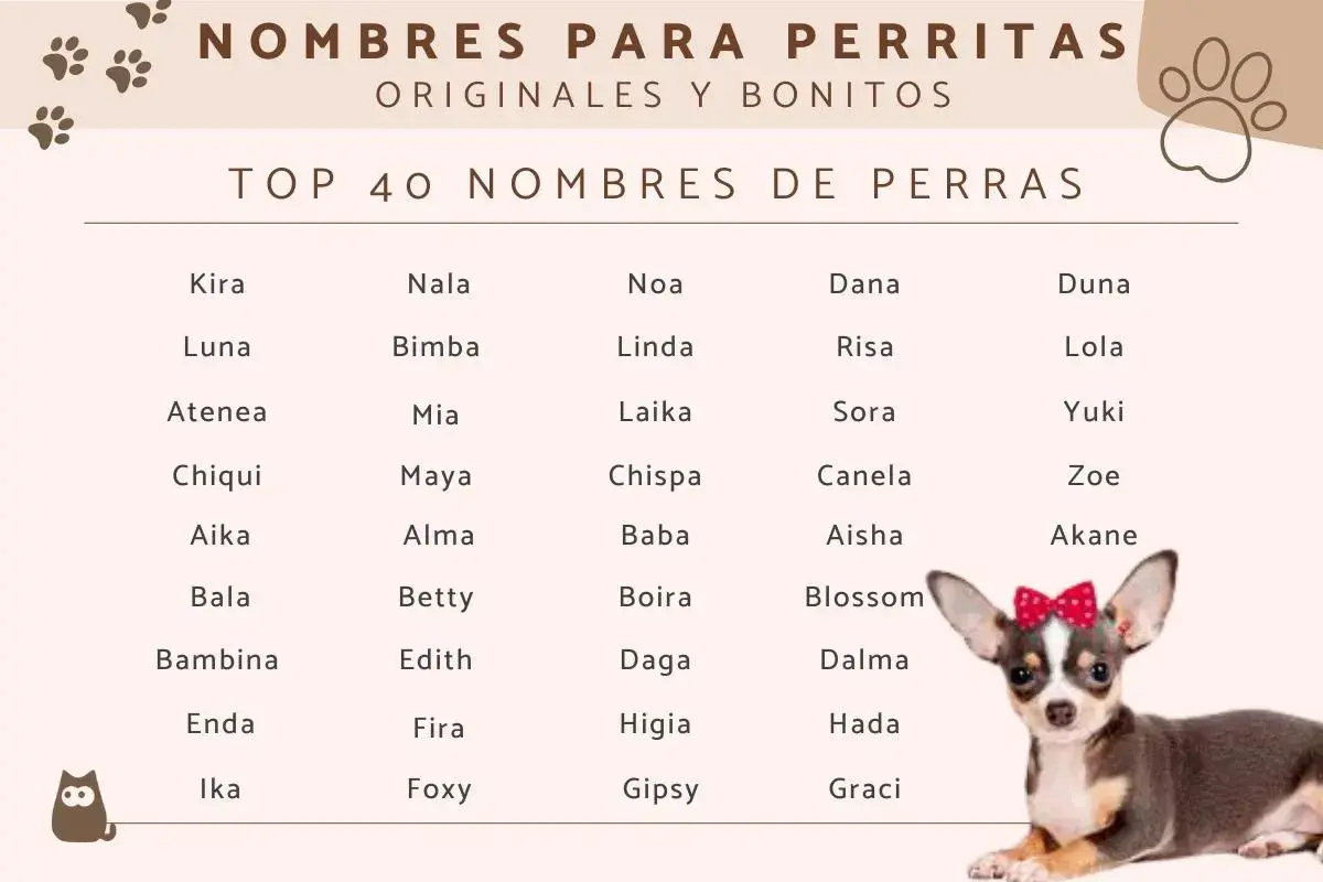 Lista TOP 40 imion dla suczek: Kira, Luna, Atenea, Chiqui, Aika, Bala, Bambina, Enda, Ika, Nala, Bimba, Mia, Maya, Alma, Betty, Edith, Fira, Foxy, Noa, Linda, Laika, Chispa, Baba, Boira, Daga, Higia, Gipsy, Dana, Risa, Sora, Canela, Aisha, Blossom, Dal...