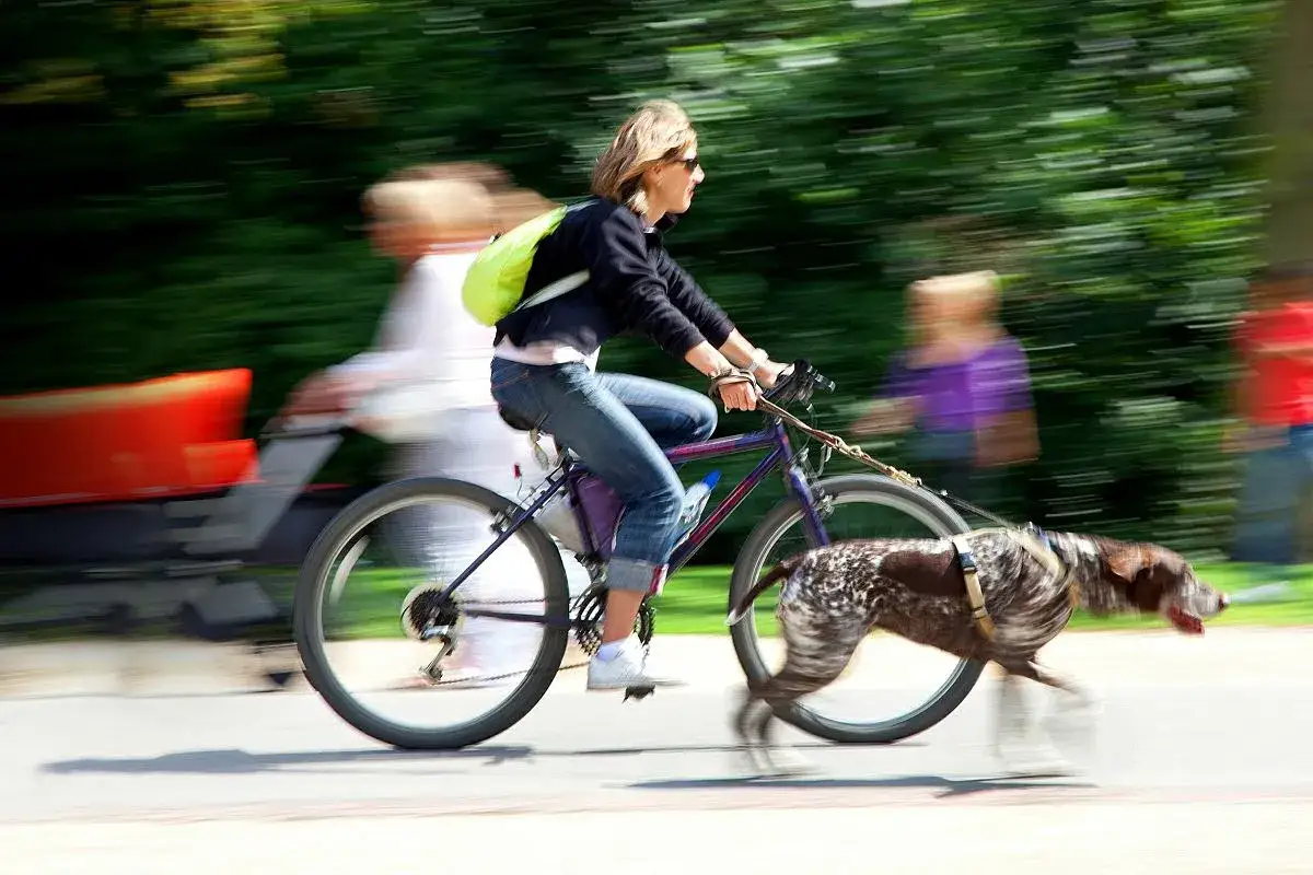 Kobieta na rowerze, z psem biegnącym obok. Radosna jazda na rowerze z psem w letni dzień.