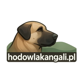 hodowlakangali.pl